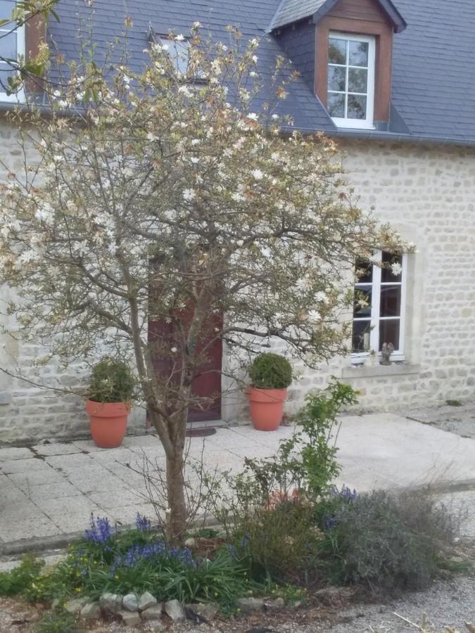 Chambre De Rose - Le Refuge Des Parachutistes - En Bordure Du Marais Neuville-au-Plain Ngoại thất bức ảnh