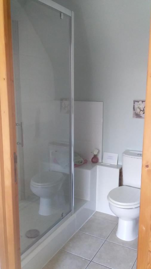 Chambre De Rose - Le Refuge Des Parachutistes - En Bordure Du Marais Neuville-au-Plain Ngoại thất bức ảnh