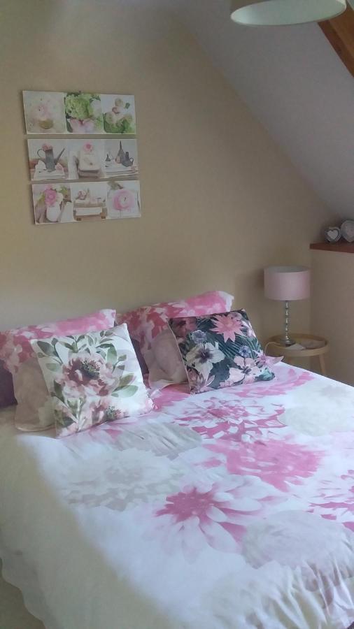 Chambre De Rose - Le Refuge Des Parachutistes - En Bordure Du Marais Neuville-au-Plain Ngoại thất bức ảnh
