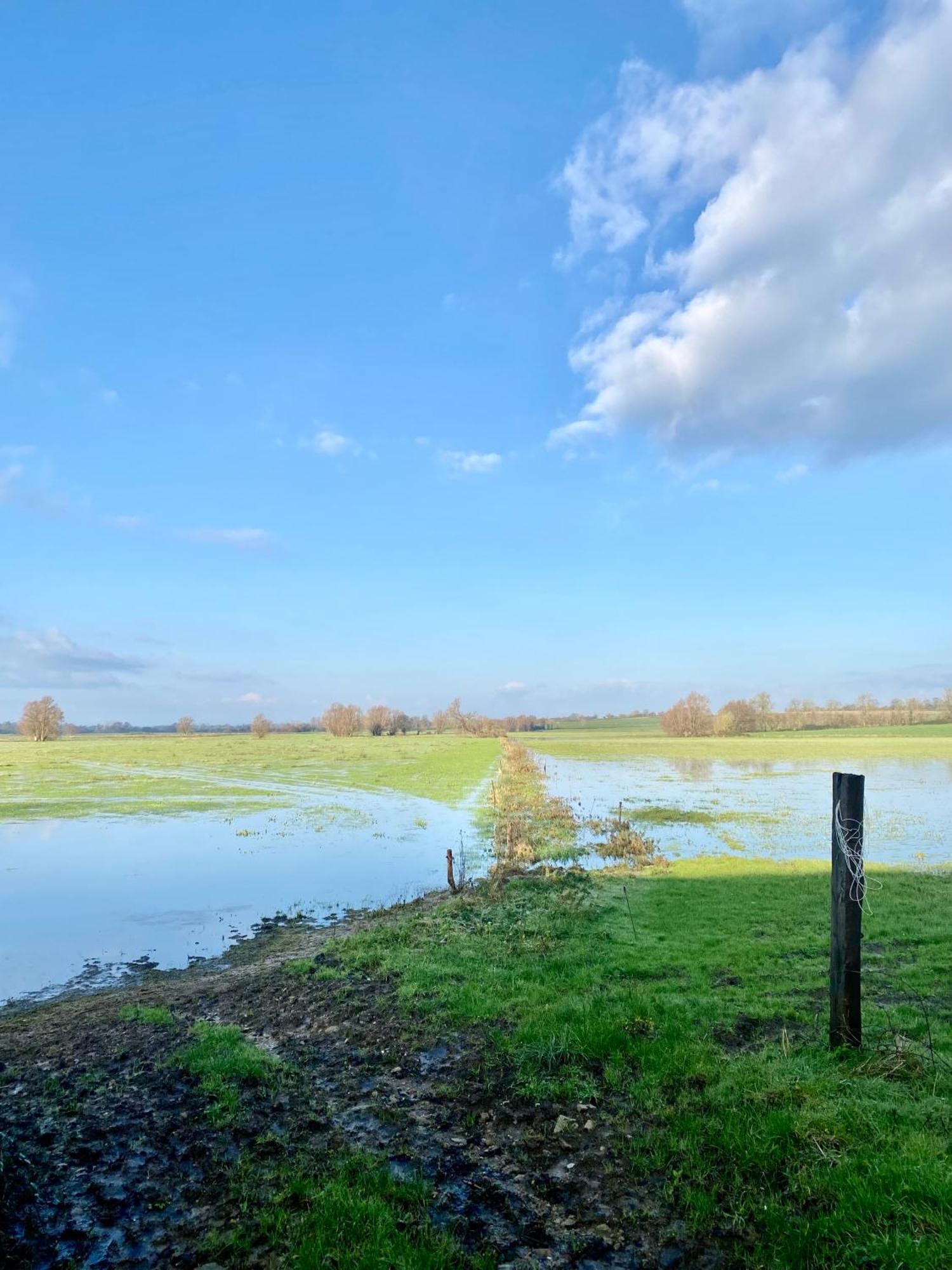 Chambre De Rose - Le Refuge Des Parachutistes - En Bordure Du Marais Neuville-au-Plain Ngoại thất bức ảnh